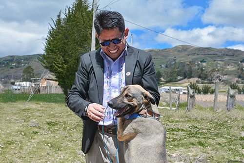 FAUNA URBANA